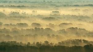 根系自由生长的地方